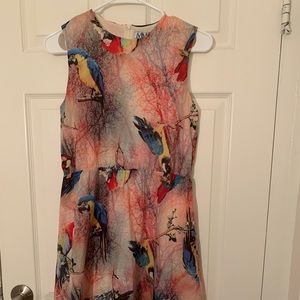 MM Miss Me Me dress parrots